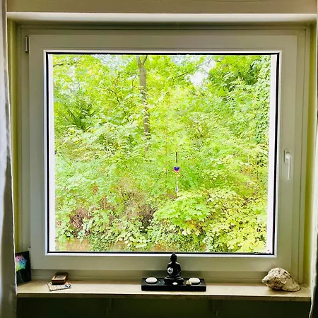 Ruhiges Messezimmer Im Diplomatenviertel Mit Grünblick * Niederdorla