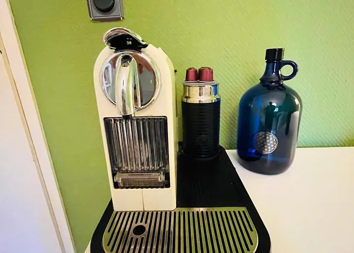 Ruhiges Messezimmer Im Diplomatenviertel Mit Gruenblick Niederdorla